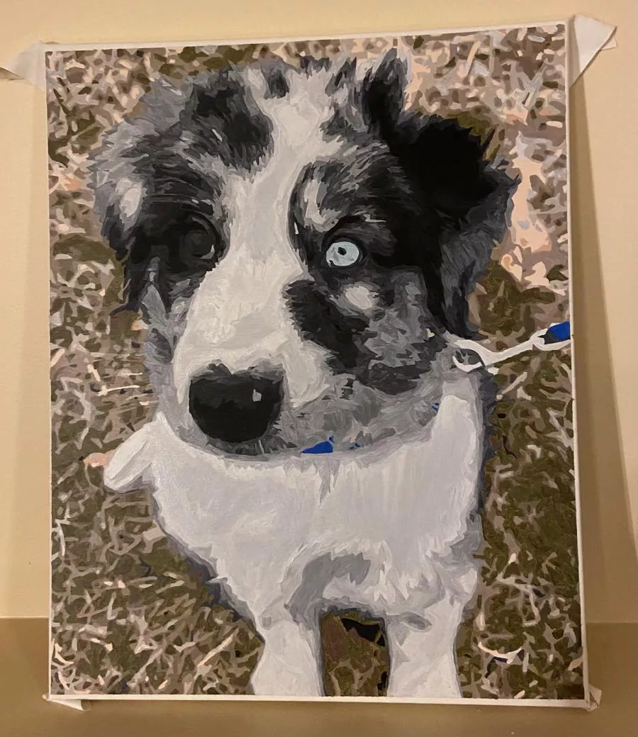 Paint By Numbers Custom​ Pets rev 8